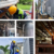Piping Installation PT Gapa Citramandiri
